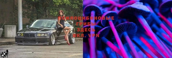 spice Аркадак