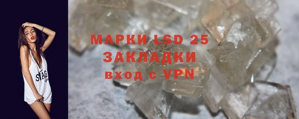 spice Аркадак