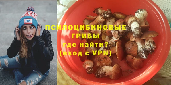 spice Аркадак