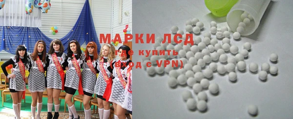 spice Аркадак