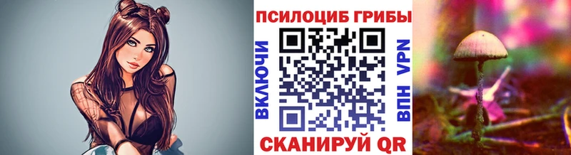Псилоцибиновые грибы Cubensis  МЕГА сайт  Усинск  купить закладку 
