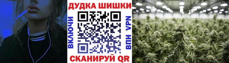 где продают   Усинск  Бошки Шишки семена 
